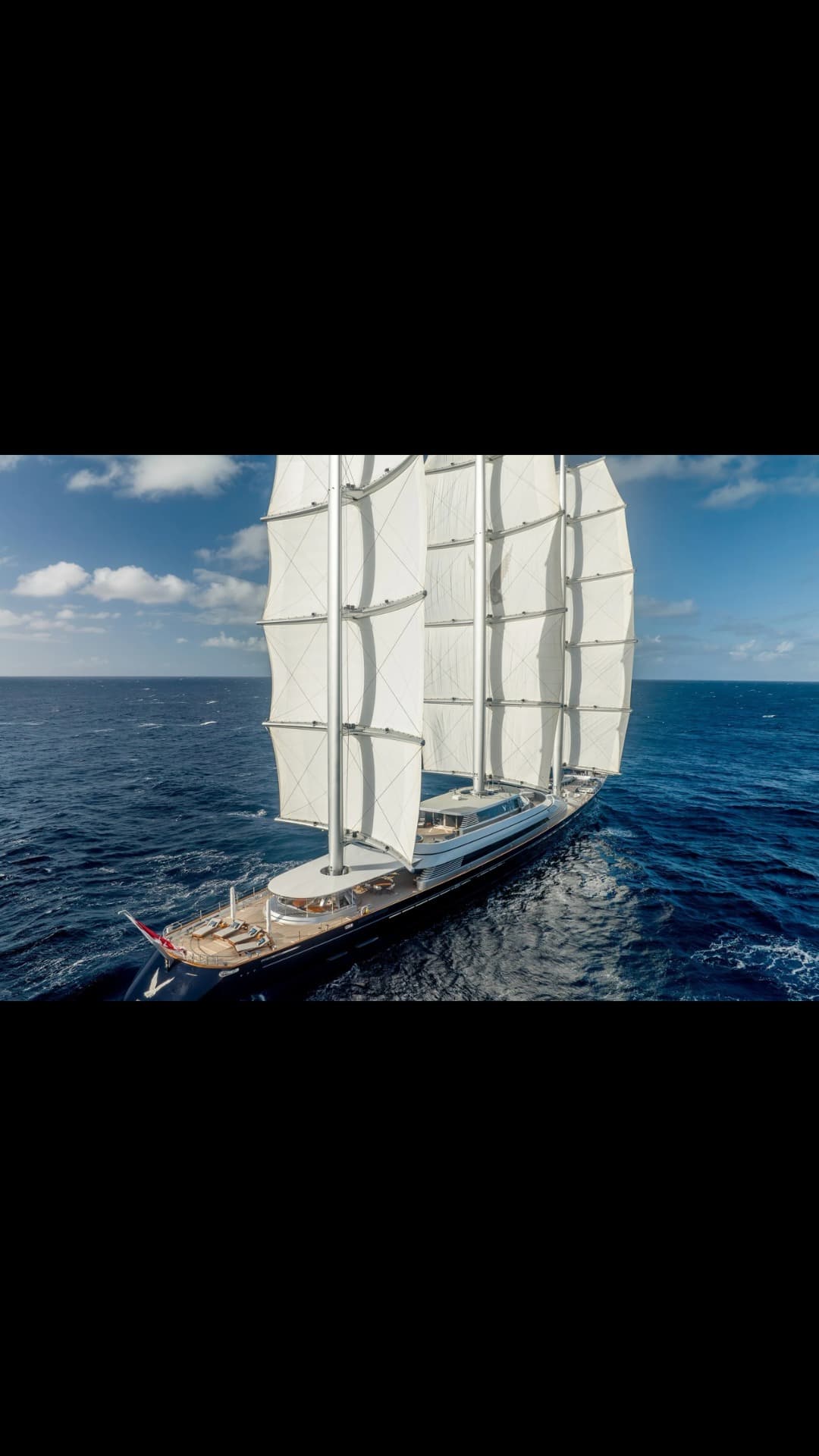 MALTESE FALCON view 4